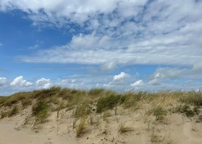 Dom wakacyjny De Wijde Blick By Interhome