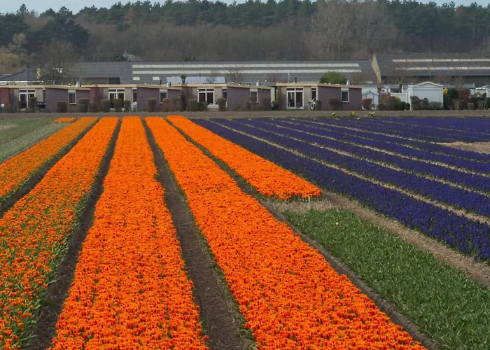 De Wijde Blick By Interhome *