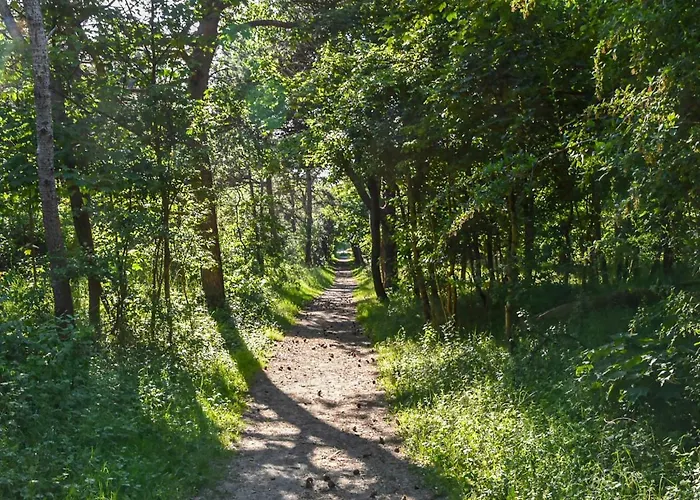 De Wijde Blick By Interhome Noordwijkerhout