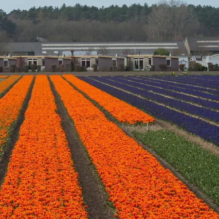 De Wijde Blick By Interhome *